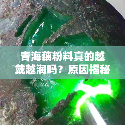 青海藕粉料真的越戴越润吗？原因揭秘