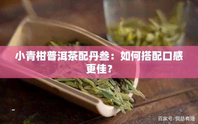 小青柑普洱茶配丹叁：如何搭配口感更佳？