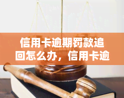 信用卡逾期罚款追回怎么办，信用卡逾期罚款如何追回？一份详细的解决方案