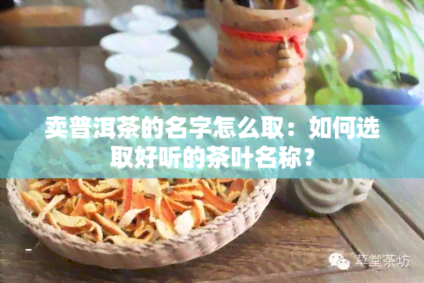 卖普洱茶的名字怎么取：如何选取好听的茶叶名称？