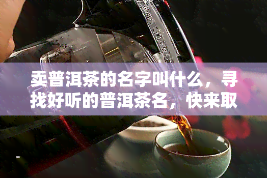 卖普洱茶的名字叫什么，寻找好听的普洱茶名，快来取个名字吧！