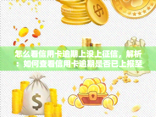 怎么看信用卡逾期上没上，解析：如何查看信用卡逾期是否已上报至个人记录？