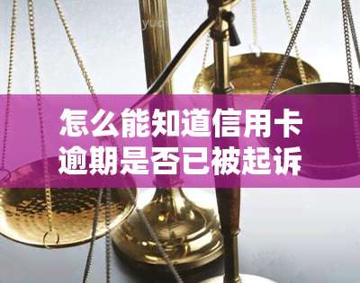 怎么能知道信用卡逾期是否已被起诉？