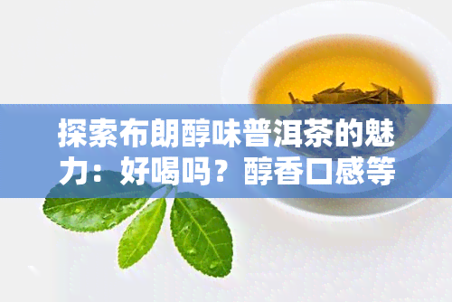 探索布朗醇味普洱茶的魅力：好喝吗？醇香口感等你来体验！