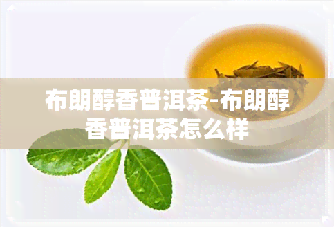 布朗醇香普洱茶-布朗醇香普洱茶怎么样