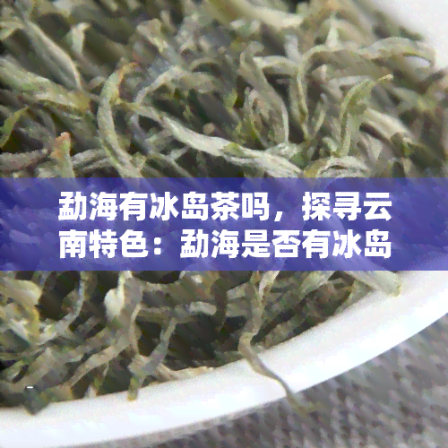 勐海有冰岛茶吗，探寻云南特色：勐海是否有冰岛茶？