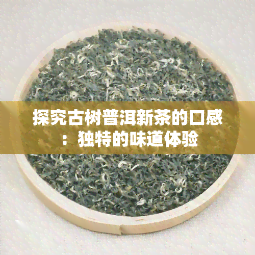 探究古树普洱新茶的口感：独特的味道体验