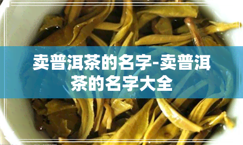 卖普洱茶的名字-卖普洱茶的名字大全