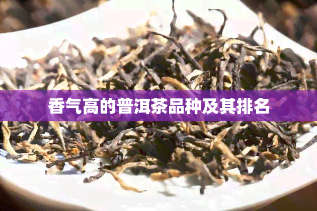 香气高的普洱茶品种及其排名