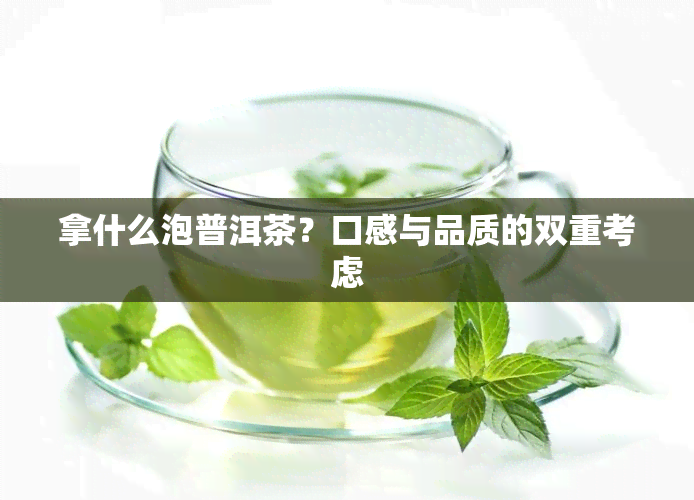 拿什么泡普洱茶？口感与品质的双重考虑