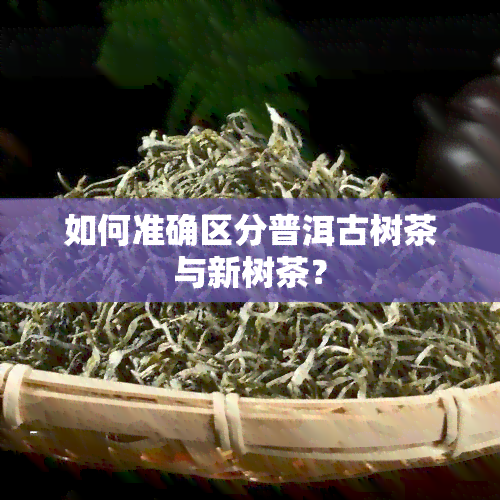 如何准确区分普洱古树茶与新树茶？