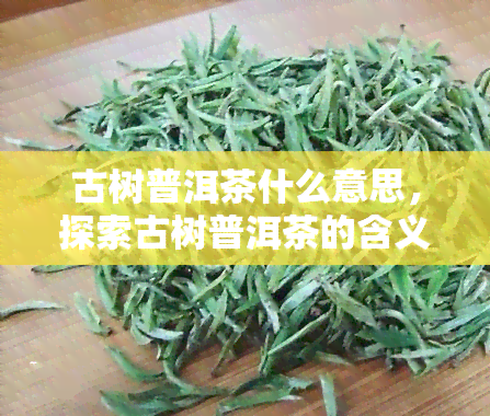 古树普洱茶什么意思，探索古树普洱茶的含义与魅力