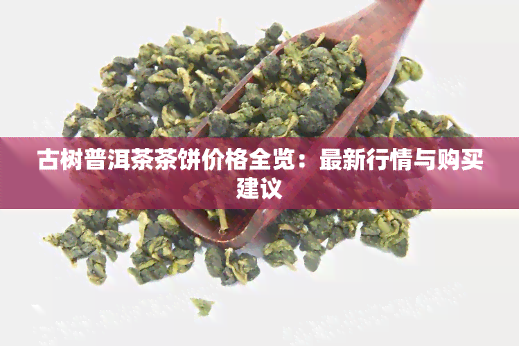 古树普洱茶茶饼价格全览：最新行情与购买建议