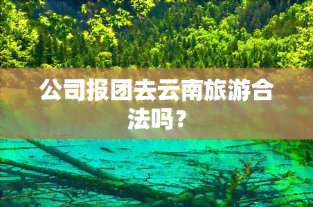 公司报团去云南旅游合法吗？