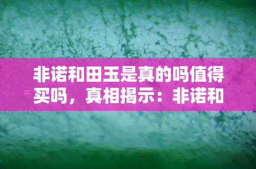 非诺和田玉是真的吗值得买吗，真相揭示：非诺和田玉的真假与购买价值探讨