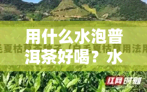 用什么水泡普洱茶好喝？水质对口感的影响解析