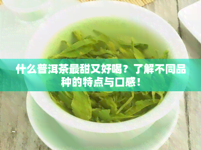 什么普洱茶最甜又好喝？了解不同品种的特点与口感！