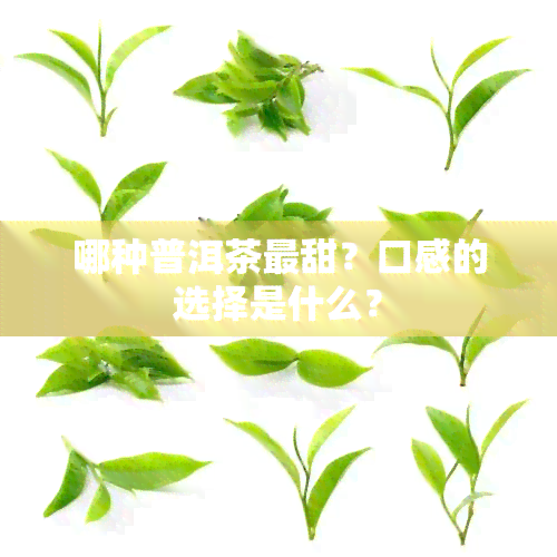 哪种普洱茶最甜？口感的选择是什么？