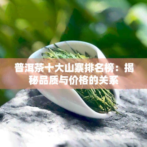 普洱茶十大山寨排名榜：揭秘品质与价格的关系