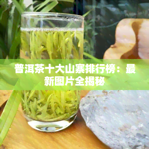 普洱茶十大山寨排行榜：最新图片全揭秘