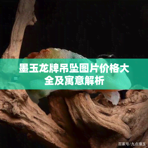 墨玉龙牌吊坠图片价格大全及寓意解析