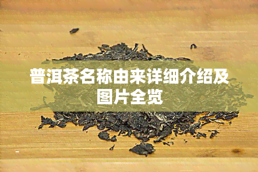 普洱茶名称由来详细介绍及图片全览