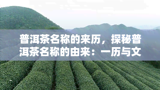 普洱茶名称的来历，探秘普洱茶名称的由来：一历与文化的交织