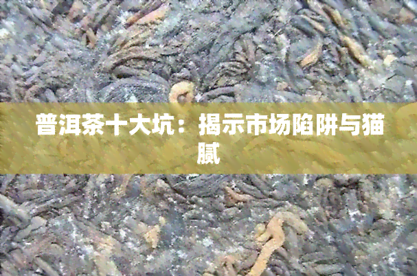 普洱茶十大坑：揭示市场陷阱与猫腻