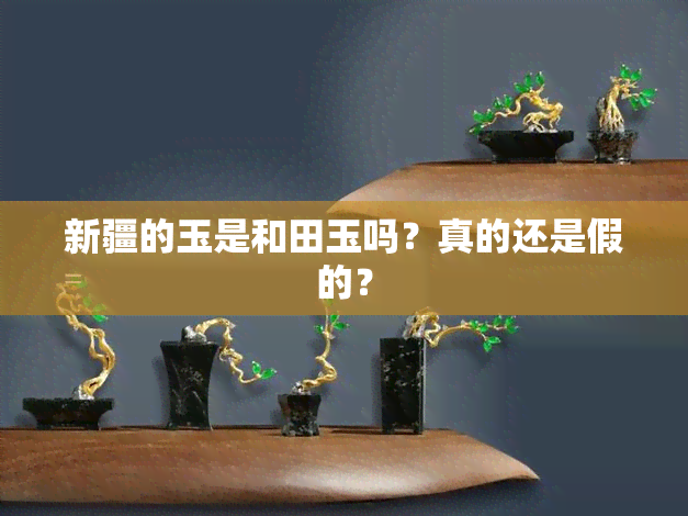 新疆的玉是和田玉吗？真的还是假的？