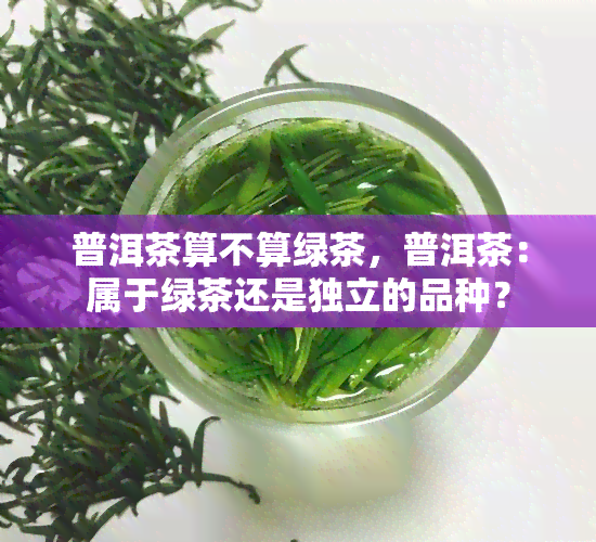 普洱茶算不算绿茶，普洱茶：属于绿茶还是独立的品种？