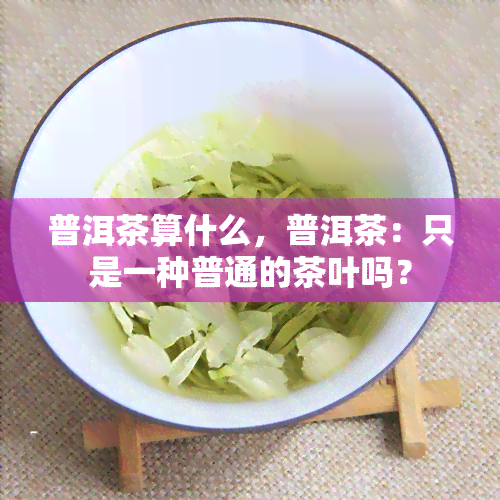 普洱茶算什么，普洱茶：只是一种普通的茶叶吗？