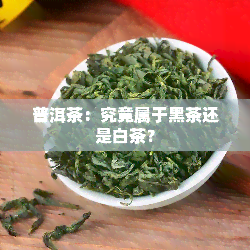 普洱茶：究竟属于黑茶还是白茶？