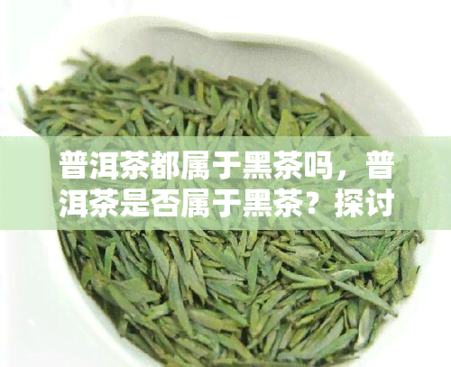 普洱茶都属于黑茶吗，普洱茶是否属于黑茶？探讨其分类归属