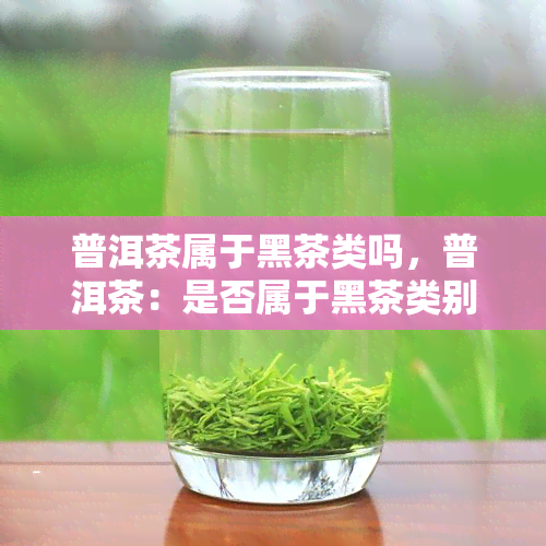 普洱茶属于黑茶类吗，普洱茶：是否属于黑茶类别？