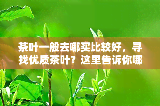 茶叶一般去哪买比较好，寻找优质茶叶？这里告诉你哪里购买比较好！