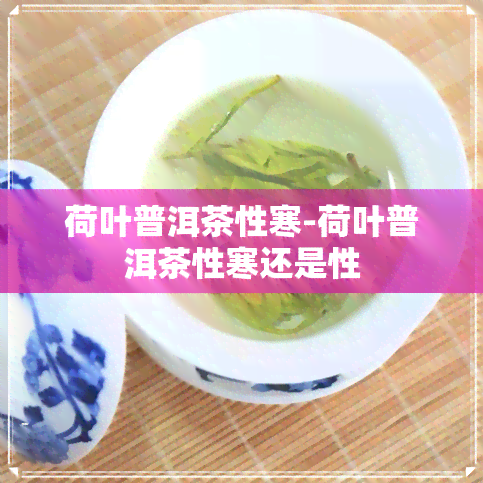 荷叶普洱茶性寒-荷叶普洱茶性寒还是性