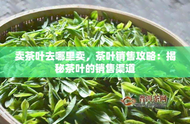 卖茶叶去哪里卖，茶叶销售攻略：揭秘茶叶的销售渠道