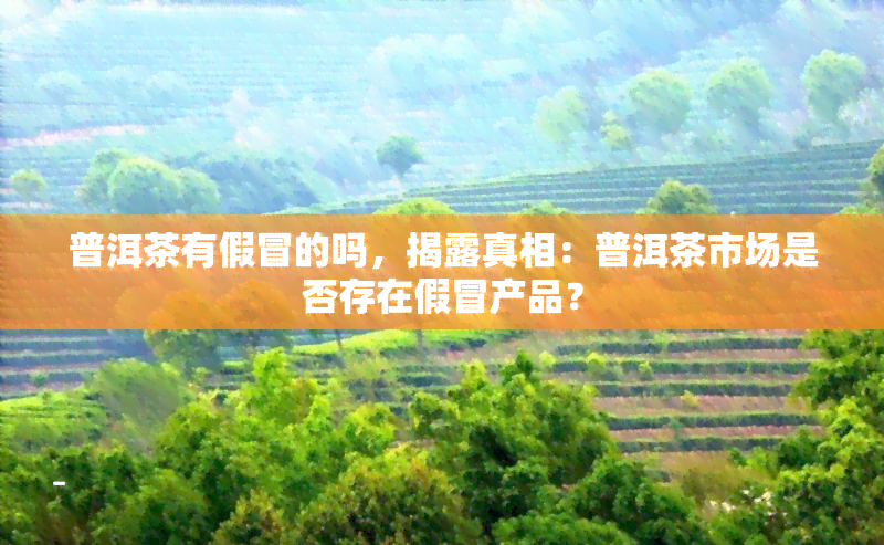 普洱茶有假冒的吗，揭露真相：普洱茶市场是否存在假冒产品？