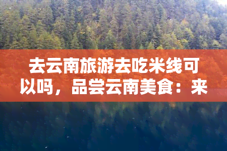 去云南旅游去吃米线可以吗，品尝云南美食：来云南旅游必吃的米线！