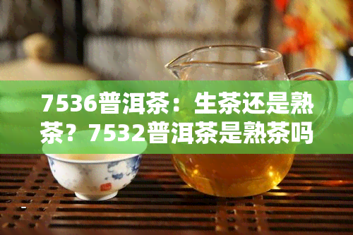 7536普洱茶：生茶还是熟茶？7532普洱茶是熟茶吗？含义解析