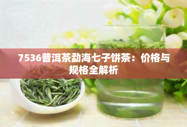 7536普洱茶勐海七子饼茶：价格与规格全解析