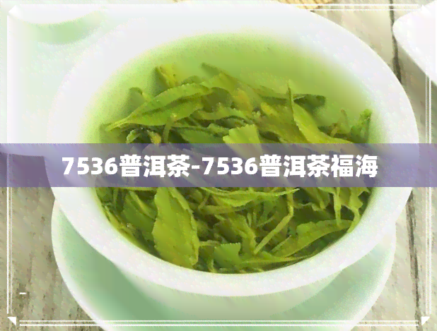 7536普洱茶-7536普洱茶福海