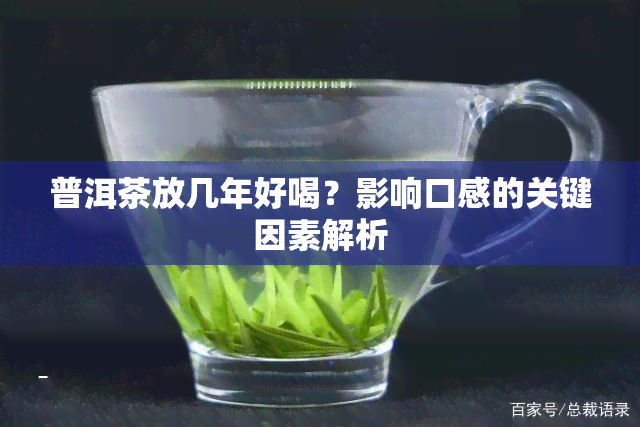 普洱茶放几年好喝？影响口感的关键因素解析