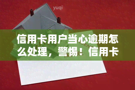 信用卡用户当心逾期怎么处理，警惕！信用卡逾期，你该知道的处理方法