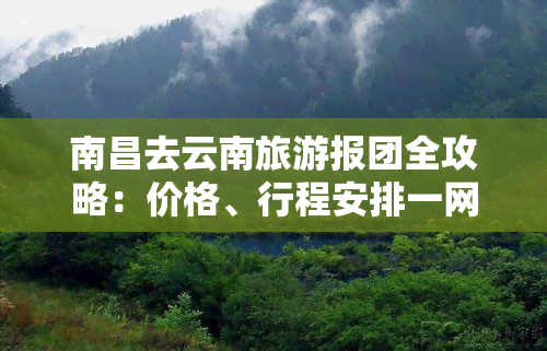 南昌去云南旅游报团全攻略：价格、行程安排一网打尽！