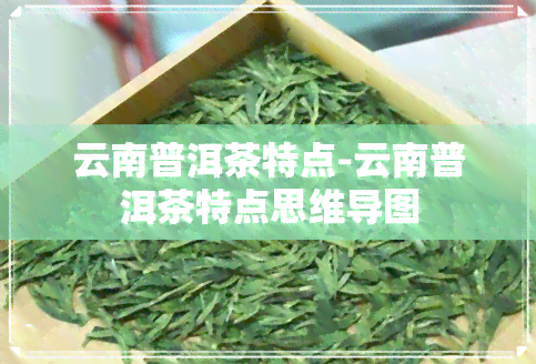 云南普洱茶特点-云南普洱茶特点思维导图