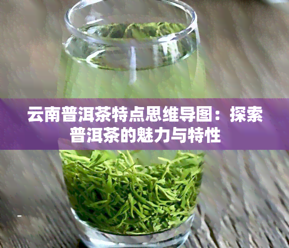 云南普洱茶特点思维导图：探索普洱茶的魅力与特性