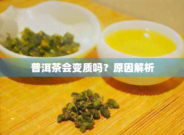 普洱茶会变质吗？原因解析