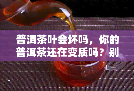 普洱茶叶会坏吗，你的普洱茶还在变质吗？别再让陈年老茶浪费了！