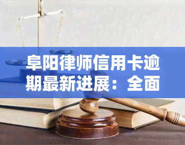 阜阳律师信用卡逾期最新进展：全面梳理与深度解析